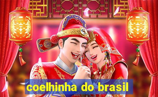 coelhinha do brasil