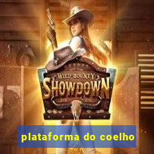 plataforma do coelho