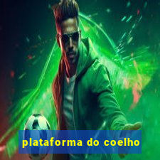 plataforma do coelho