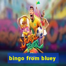 bingo from bluey