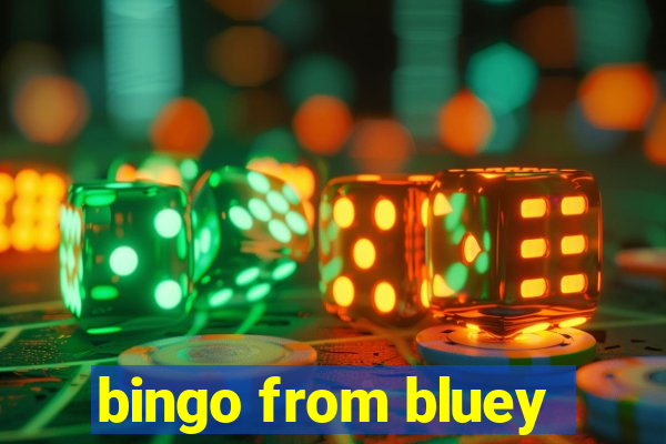 bingo from bluey