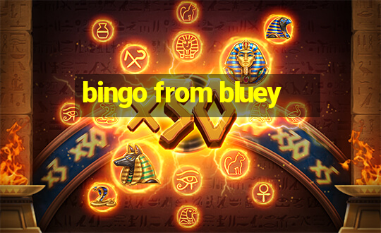 bingo from bluey