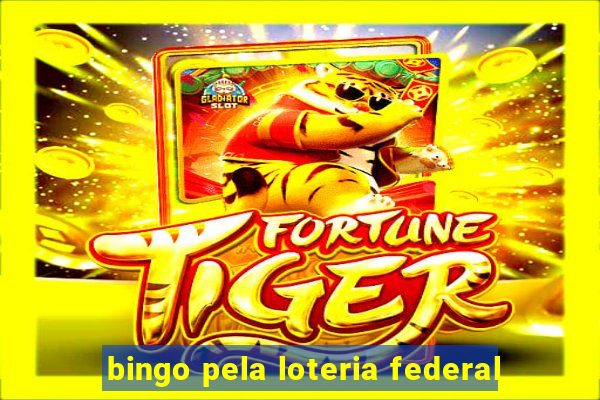 bingo pela loteria federal