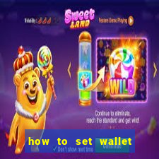 how to set wallet password in bingo plus