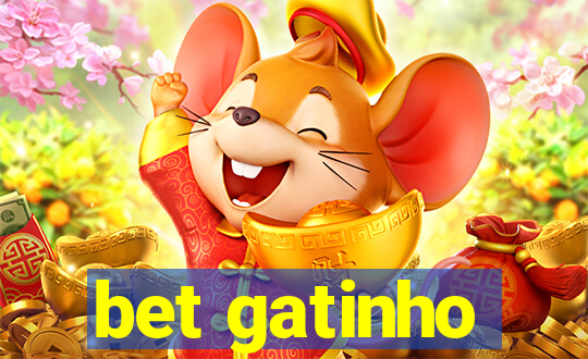 bet gatinho