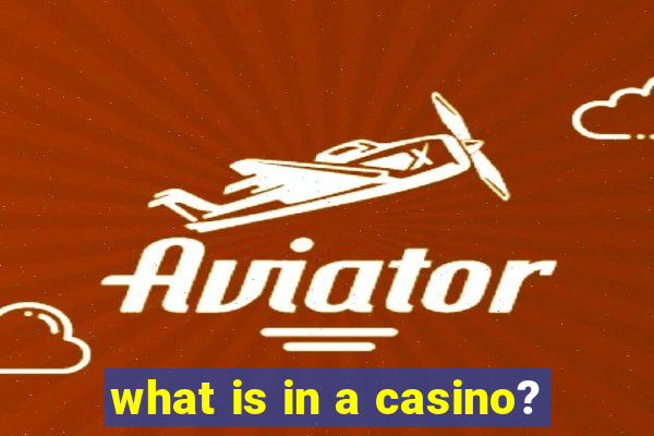 what is in a casino?