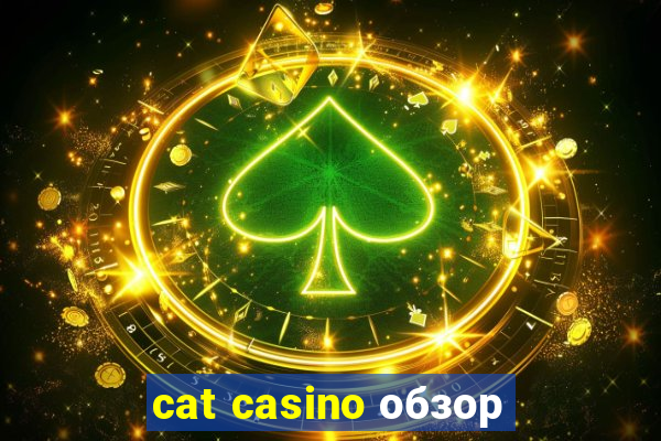 cat casino обзор