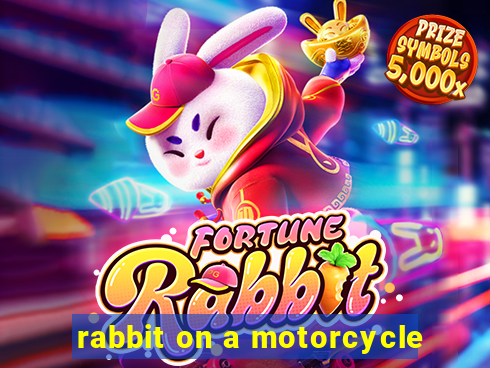 rabbit on a motorcycle