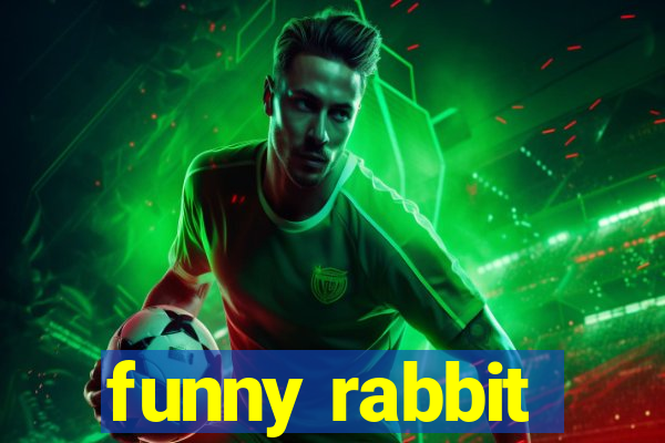 funny rabbit