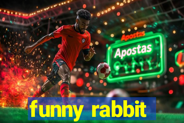 funny rabbit