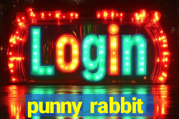 punny rabbit