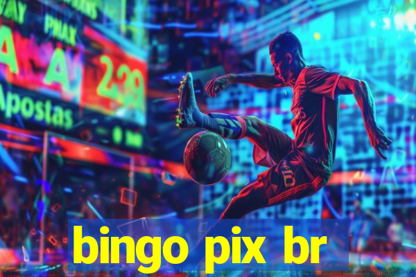 bingo pix br