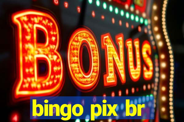 bingo pix br