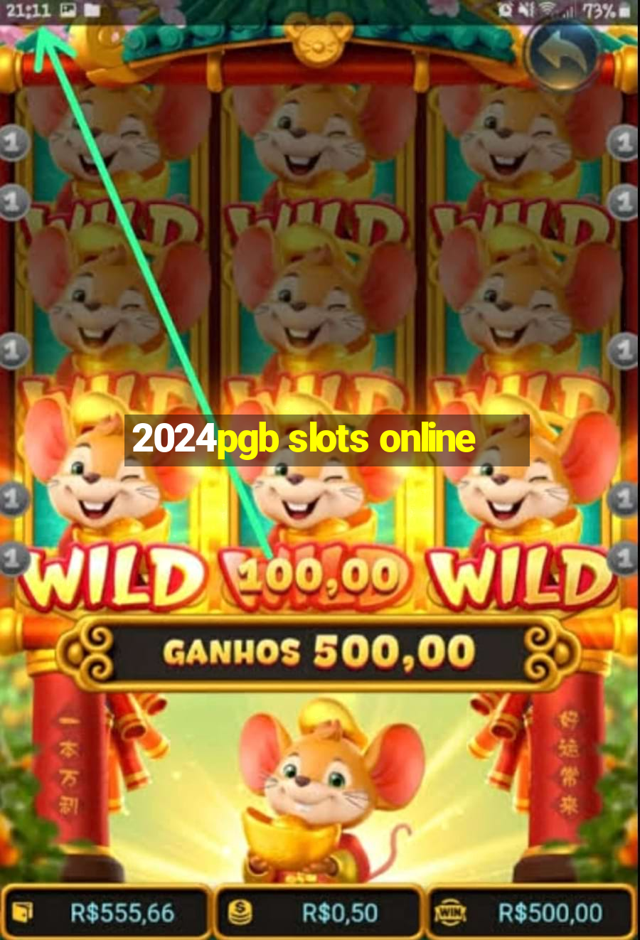 2024pgb slots online