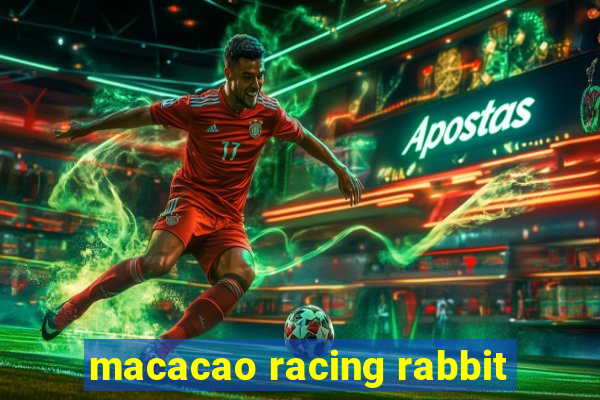 macacao racing rabbit