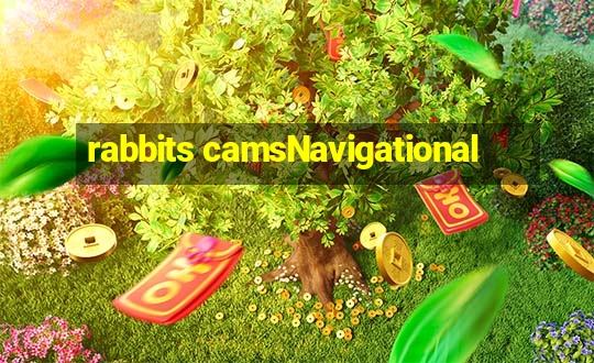 rabbits camsNavigational