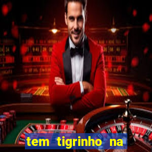 tem tigrinho na bet 365