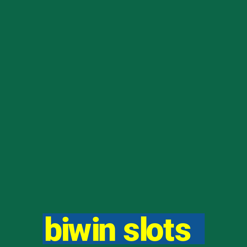 biwin slots