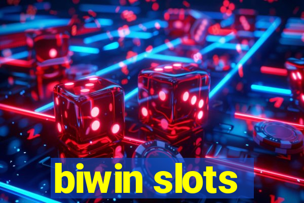 biwin slots