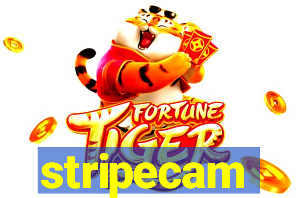 stripecam