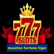 macetes fortune tiger