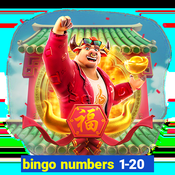 bingo numbers 1-20