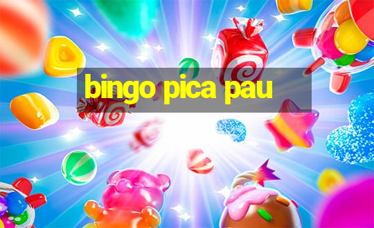 bingo pica pau