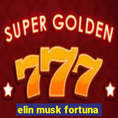 elin musk fortuna