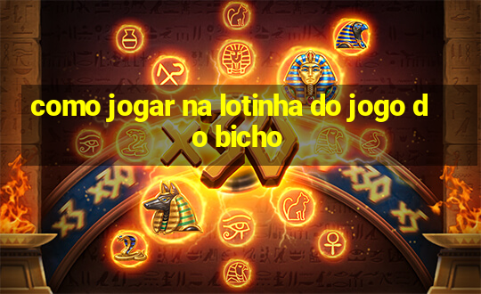 como jogar na lotinha do jogo do bicho