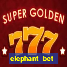 elephant bet angofoot apostas desportivas