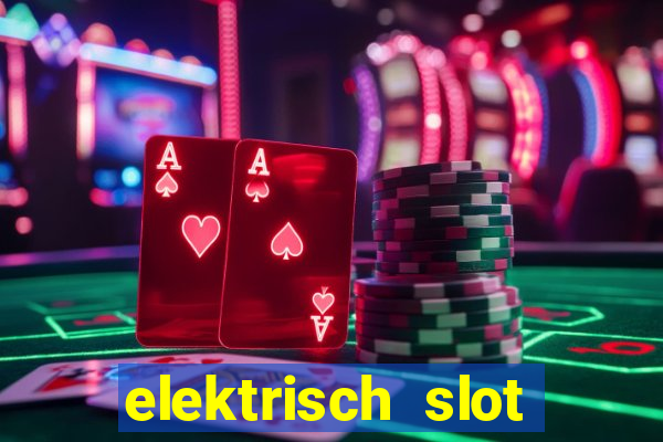 elektrisch slot houten poort