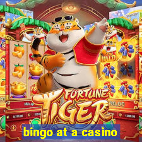 bingo at a casino