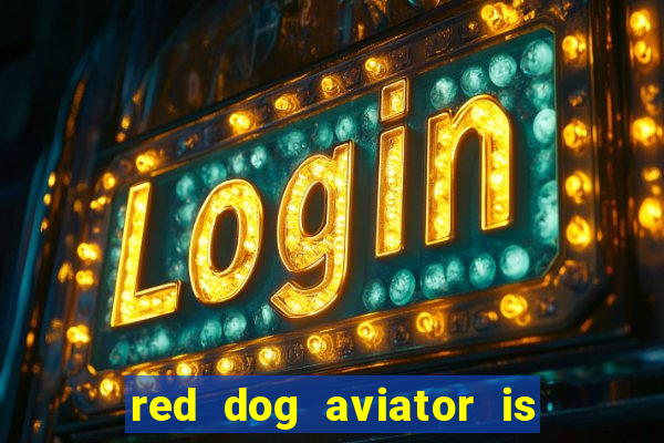 red dog aviator is real or fake