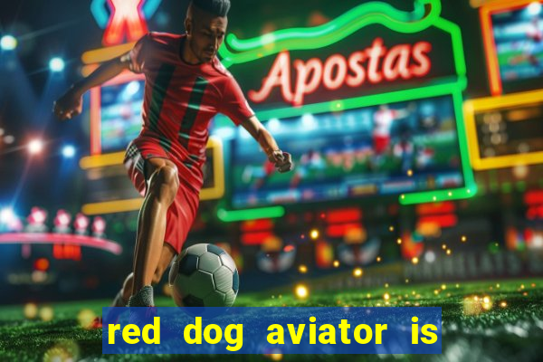 red dog aviator is real or fake