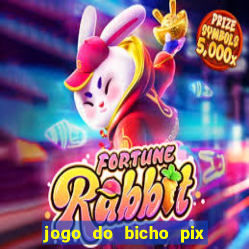 jogo do bicho pix da sorte