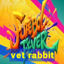 vet rabbit