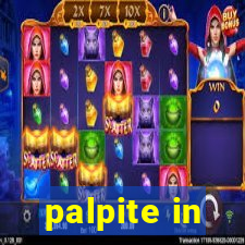 palpite in