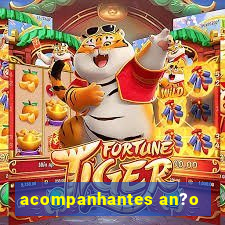 acompanhantes an?o