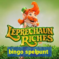 bingo spelpunt