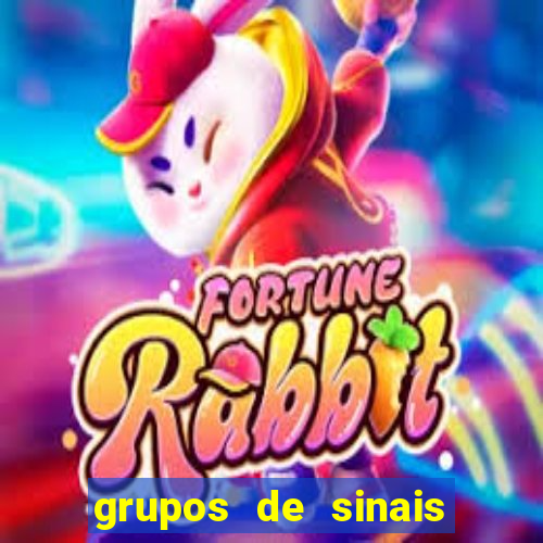 grupos de sinais fortune tiger