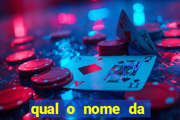 qual o nome da casinha do pinguim