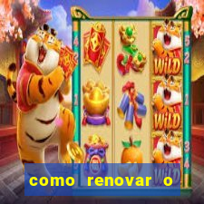 como renovar o plano tim beta