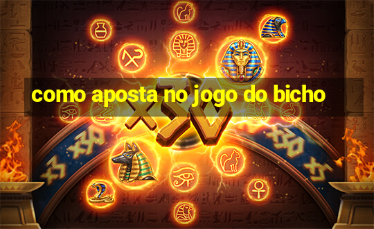 como aposta no jogo do bicho