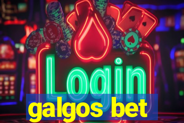 galgos bet