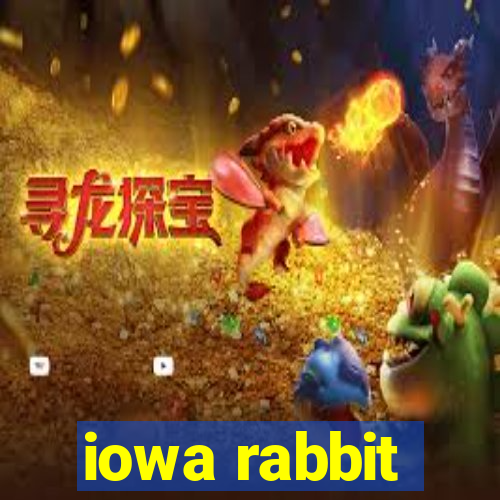 iowa rabbit