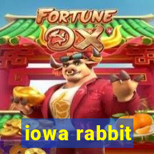 iowa rabbit