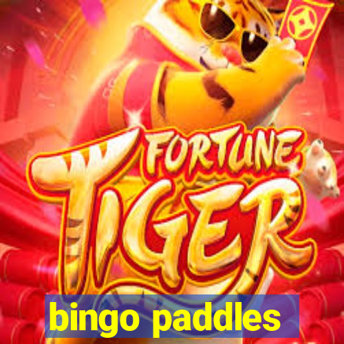 bingo paddles