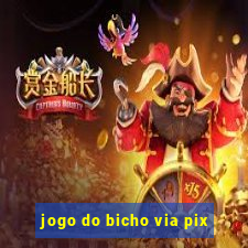 jogo do bicho via pix