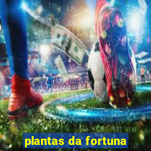 plantas da fortuna