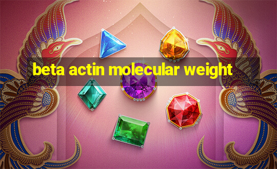 beta actin molecular weight